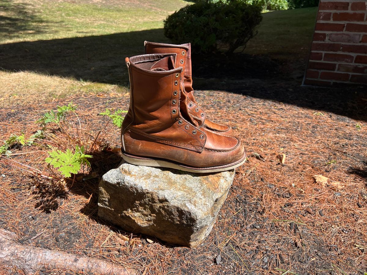 Photo by JLL343 on August 30, 2025 of the Red Wing 10877 in Red Wing / S.B. Foot Oro-Iginal.