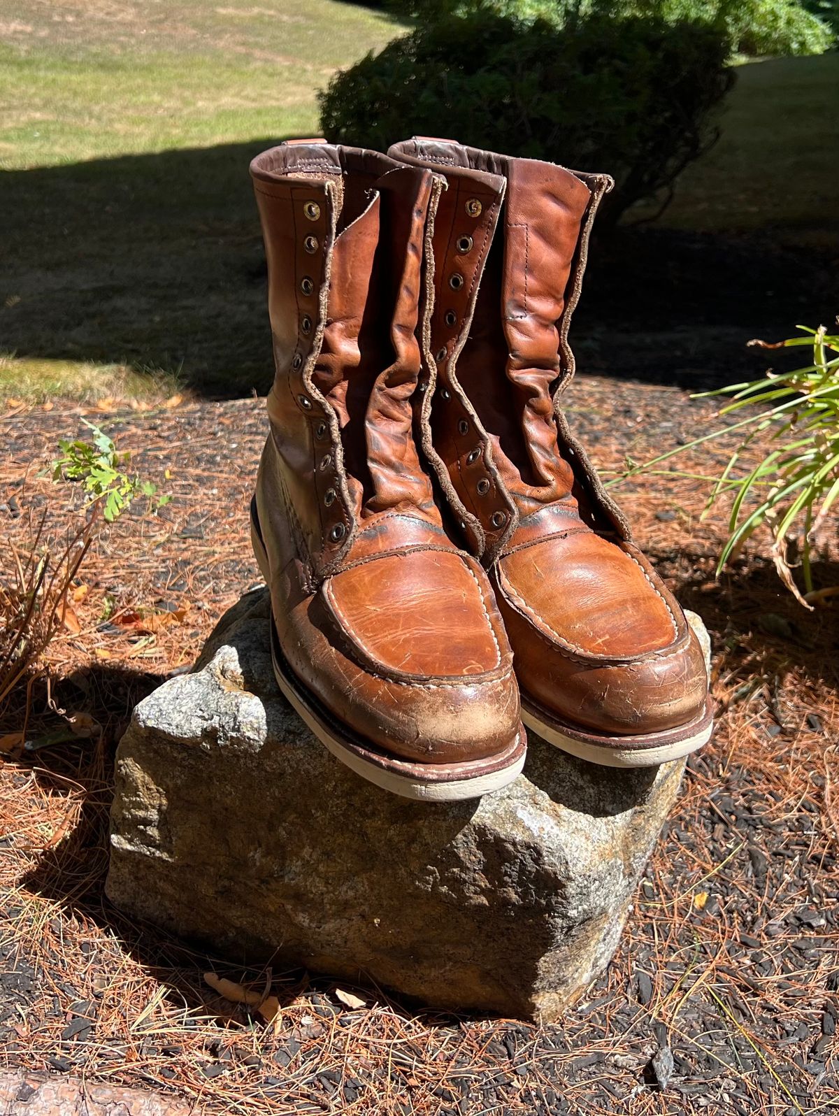 Photo by JLL343 on August 30, 2025 of the Red Wing 10877 in Red Wing / S.B. Foot Oro-Iginal.