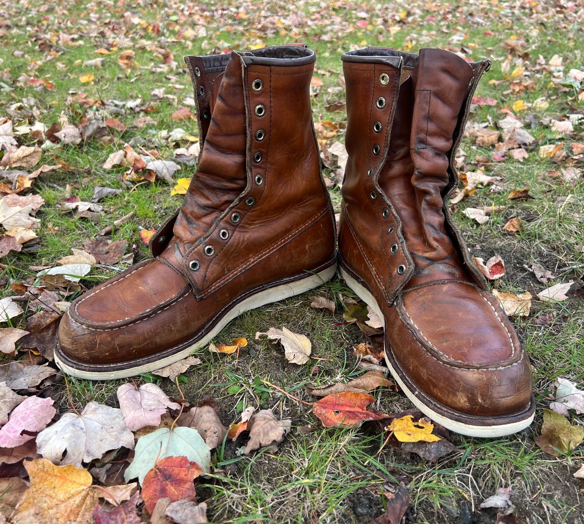 Photo by JLL343 on October 19, 2025 of the Red Wing 10877 in Red Wing / S.B. Foot Oro-Iginal.