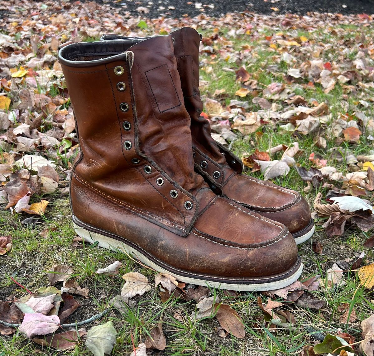 Photo by JLL343 on October 19, 2025 of the Red Wing 10877 in Red Wing / S.B. Foot Oro-Iginal.