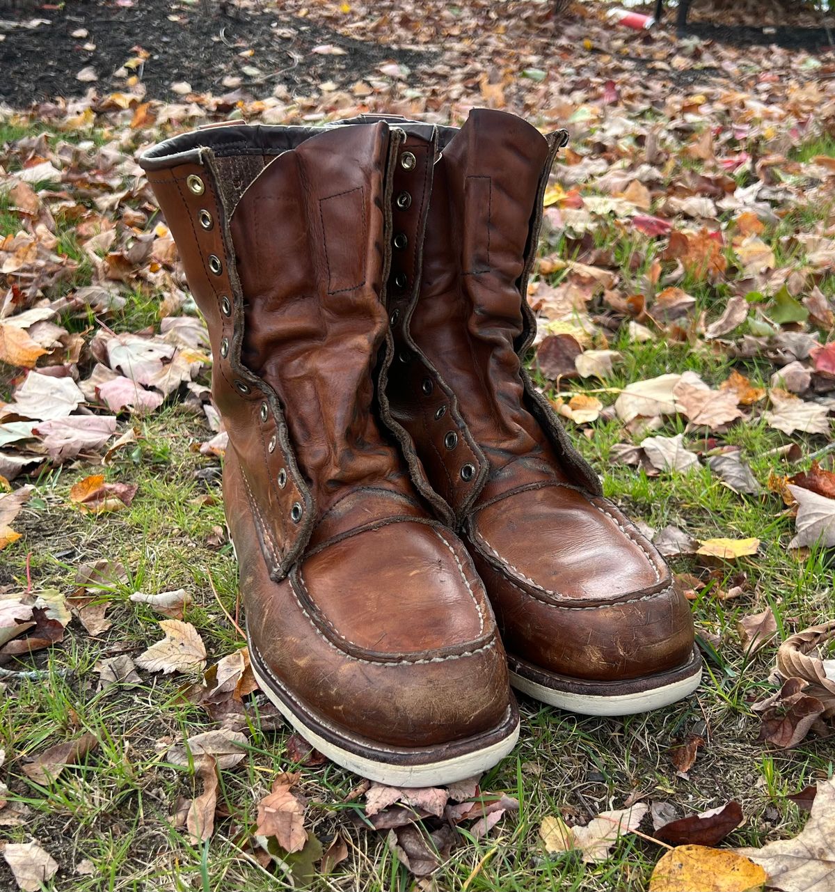 Photo by JLL343 on October 19, 2025 of the Red Wing 10877 in Red Wing / S.B. Foot Oro-Iginal.