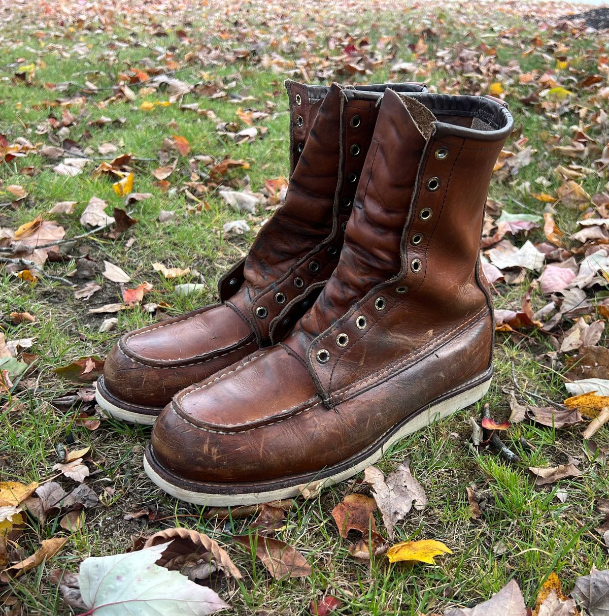 Photo by JLL343 on October 19, 2025 of the Red Wing 10877 in Red Wing / S.B. Foot Oro-Iginal.