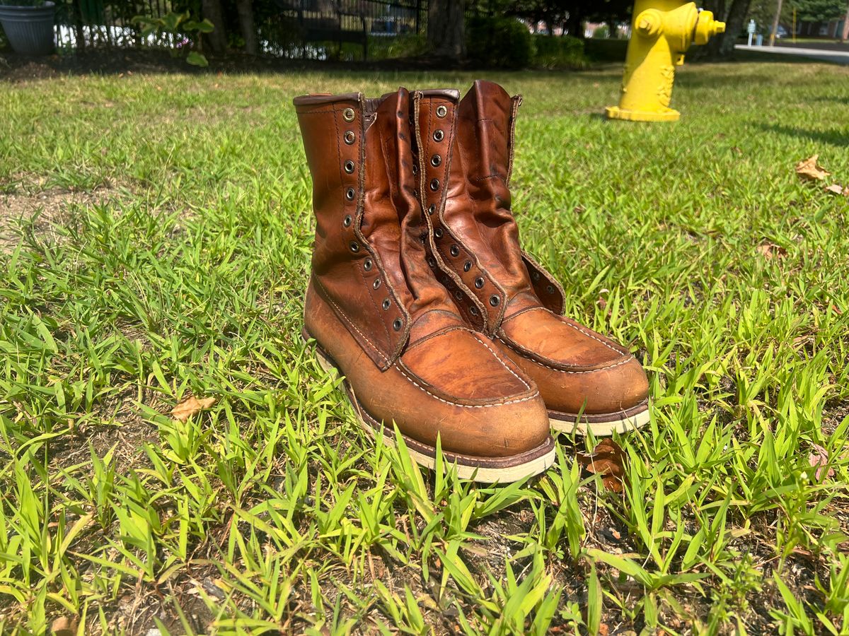 Photo by JLL343 on August 3, 2025 of the Red Wing 8-Inch Classic Moc in Seidel Mocha Oil Tan.