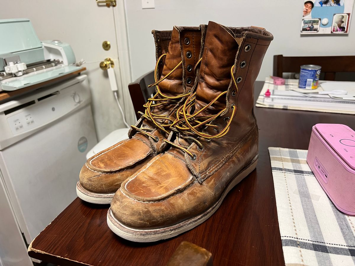 Photo by JLL343 on July 17, 2025 of the Red Wing 8-Inch Classic Moc in Seidel Mocha Oil Tan.