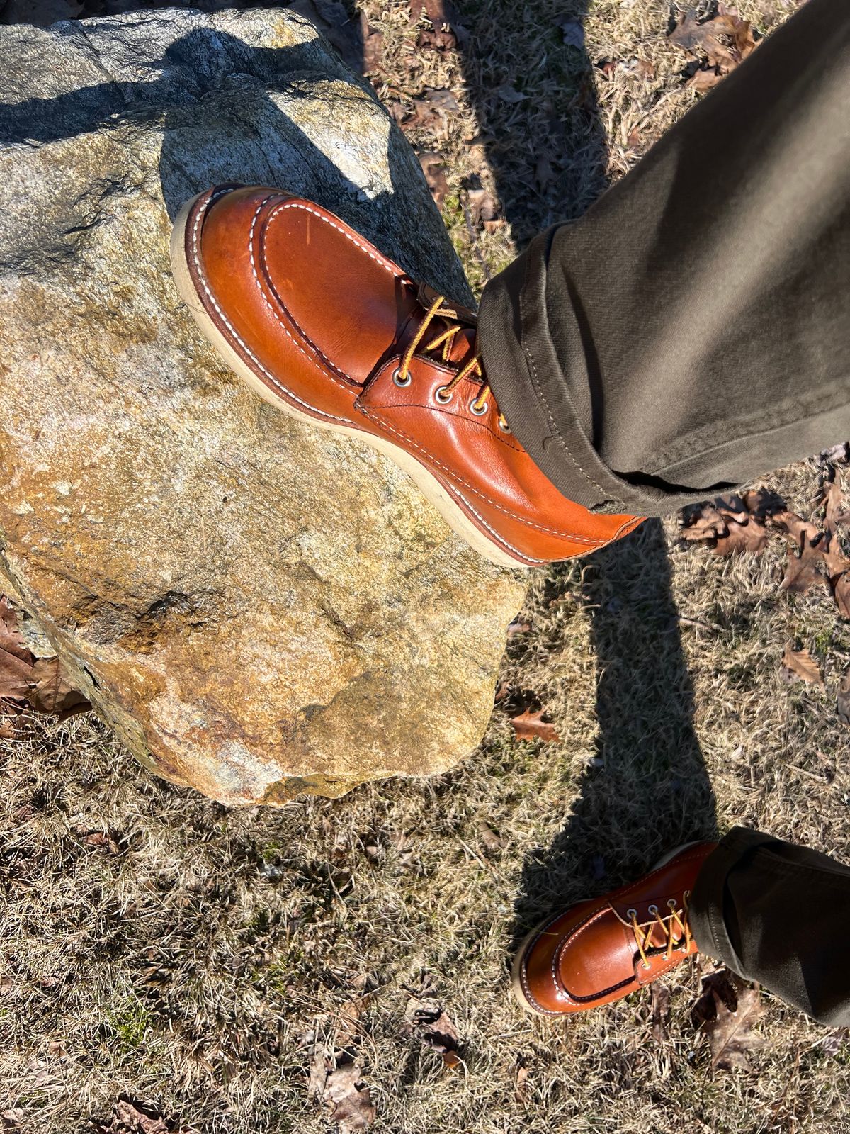 Photo by JLL343 on March 3, 2024 of the Red Wing 8-Inch Classic Moc in S.B. Foot Oro Legacy.