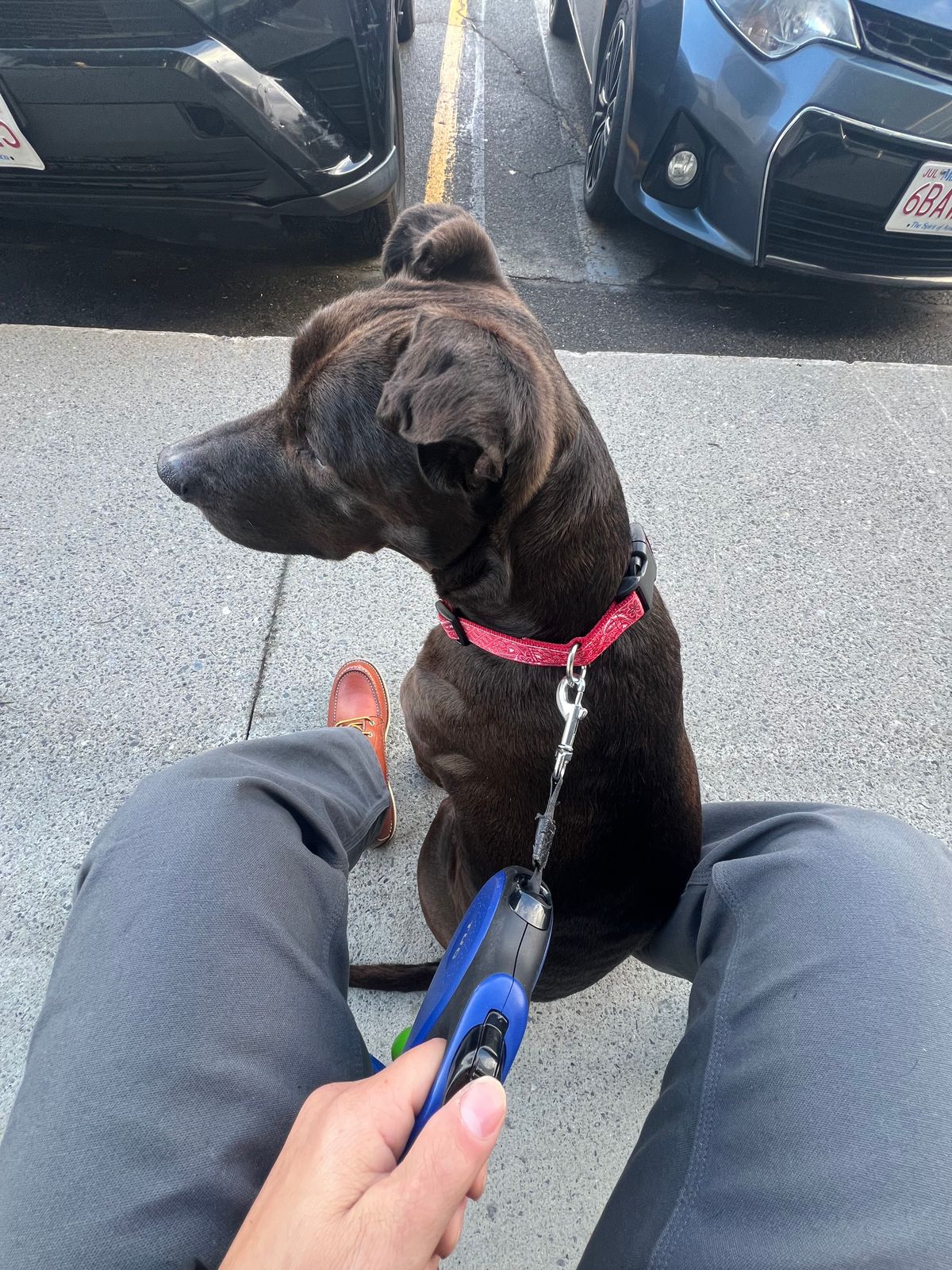 Photo by JLL343 on March 21, 2026 of the Red Wing 8-Inch Classic Moc in S.B. Foot Oro Legacy.