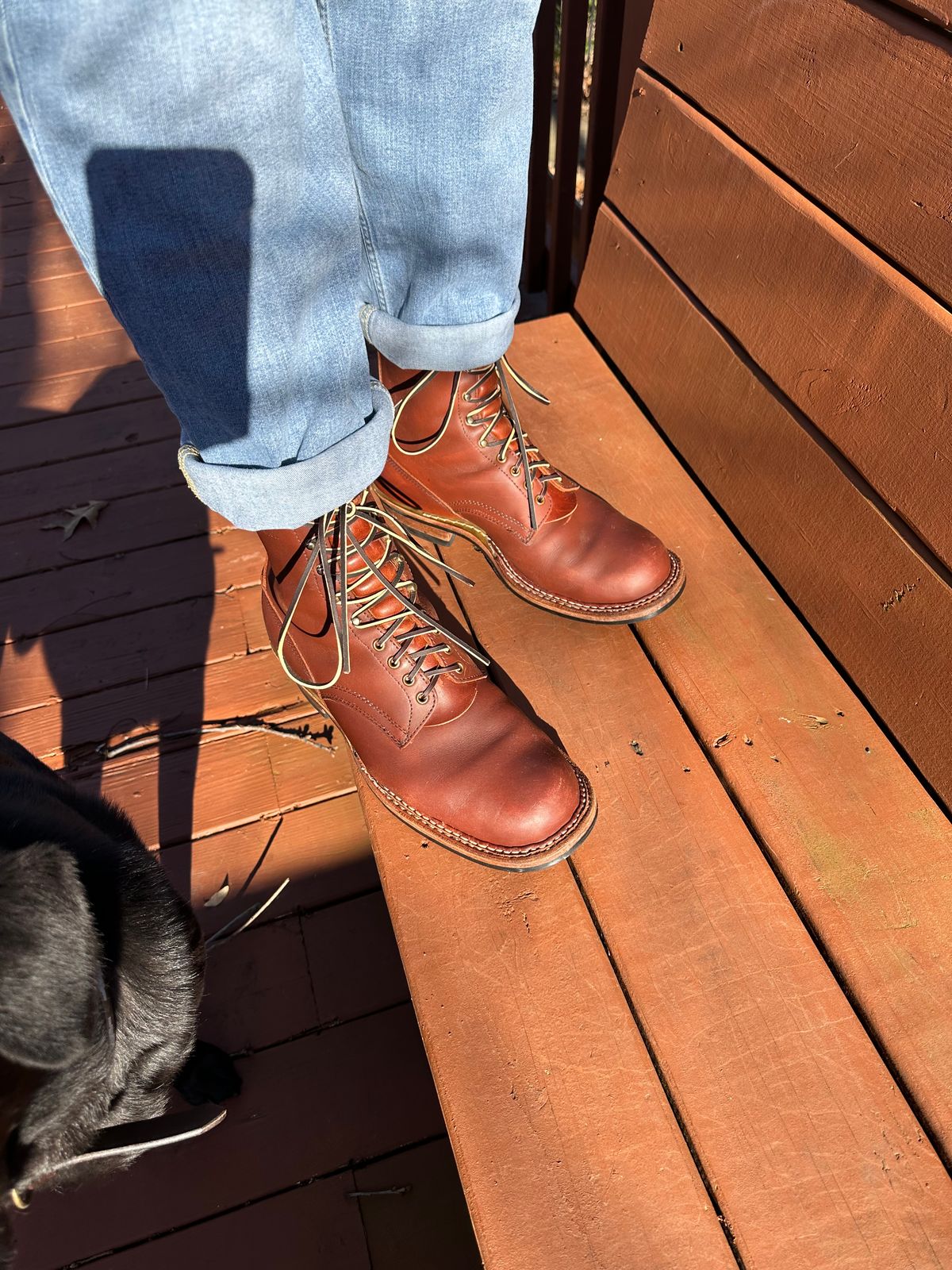 Photo by biggy545 on January 26, 2026 of the White's Farmer/Rancher in Seidel Red Dog Oil Tan.