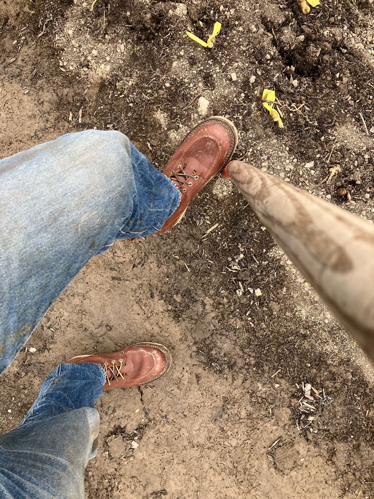 Photo by taylorlong1 on October 22, 2025 of the Nicks Moc Toe in Seidel 1964 Brown.