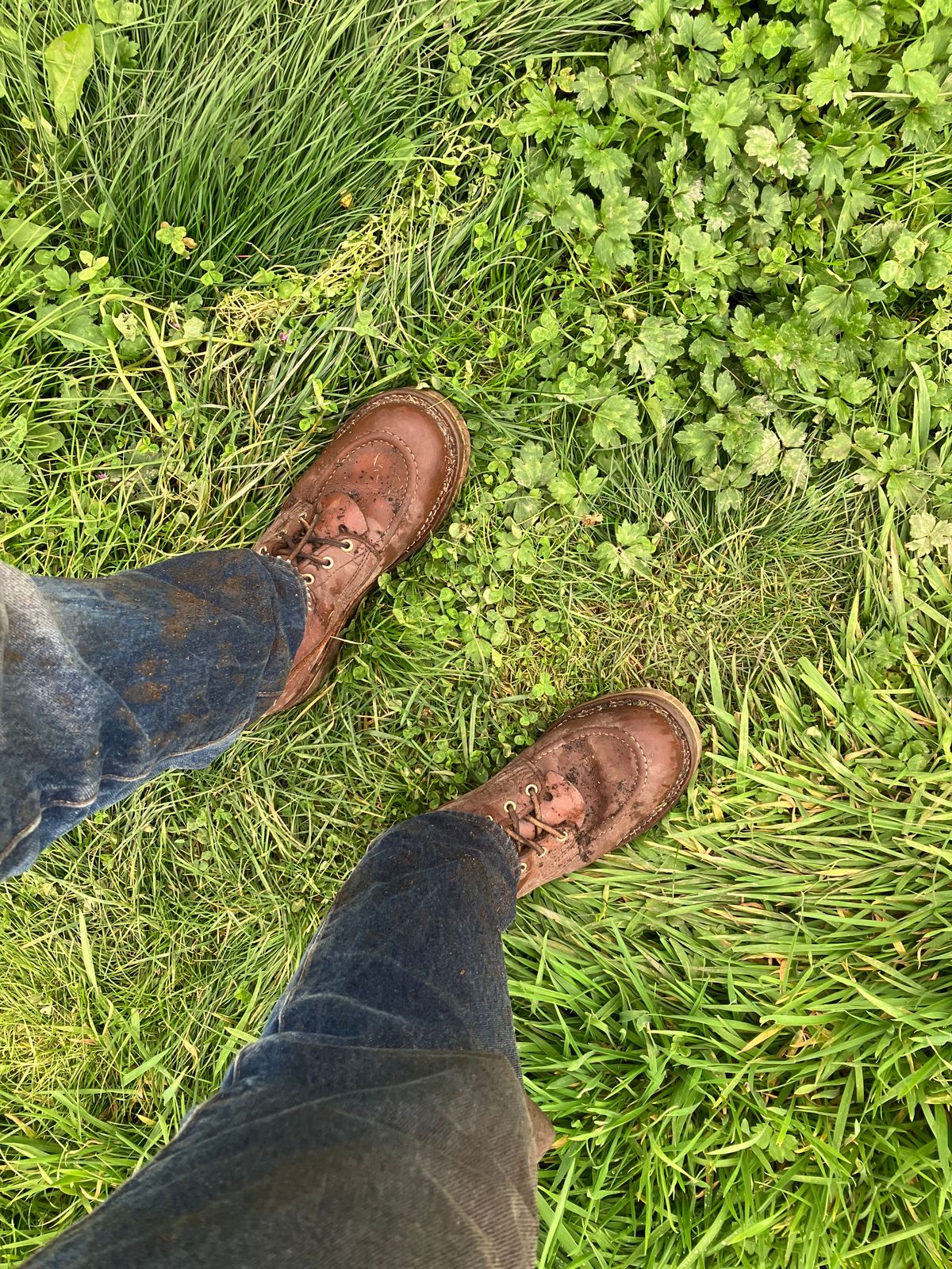 Photo by taylorlong1 on October 23, 2025 of the Nicks Moc Toe in Seidel 1964 Brown.