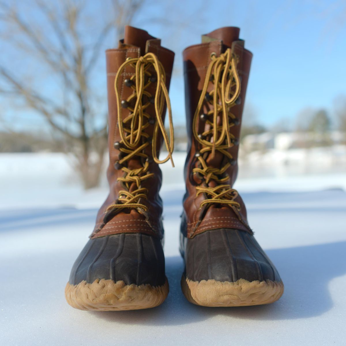 Photo by feetpics on February 1, 2026 of the L.L.Bean Maine Hunting Shoe 12" in Unknown Leather.