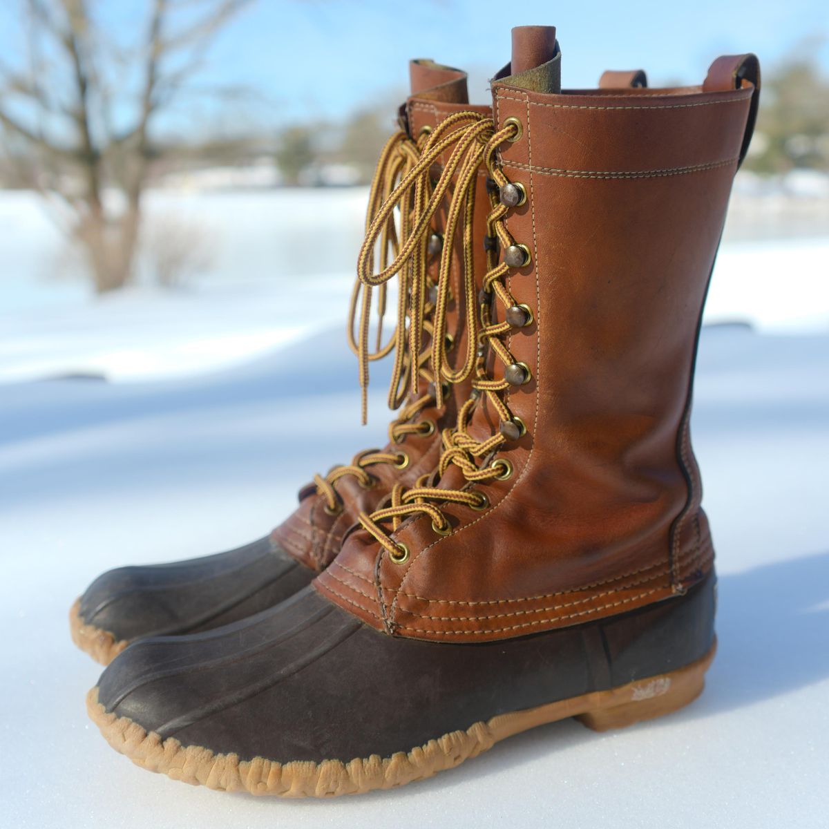 Photo by feetpics on February 1, 2026 of the L.L.Bean Maine Hunting Shoe 12" in Unknown Leather.
