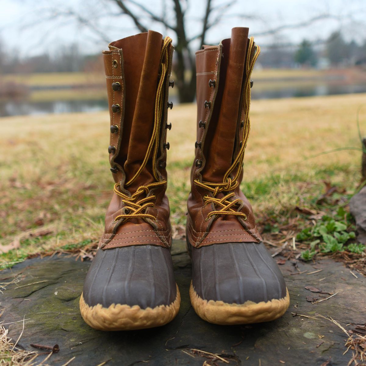 Photo by feetpics on March 4, 2026 of the L.L.Bean Maine Hunting Shoe 12" in Unknown Leather.