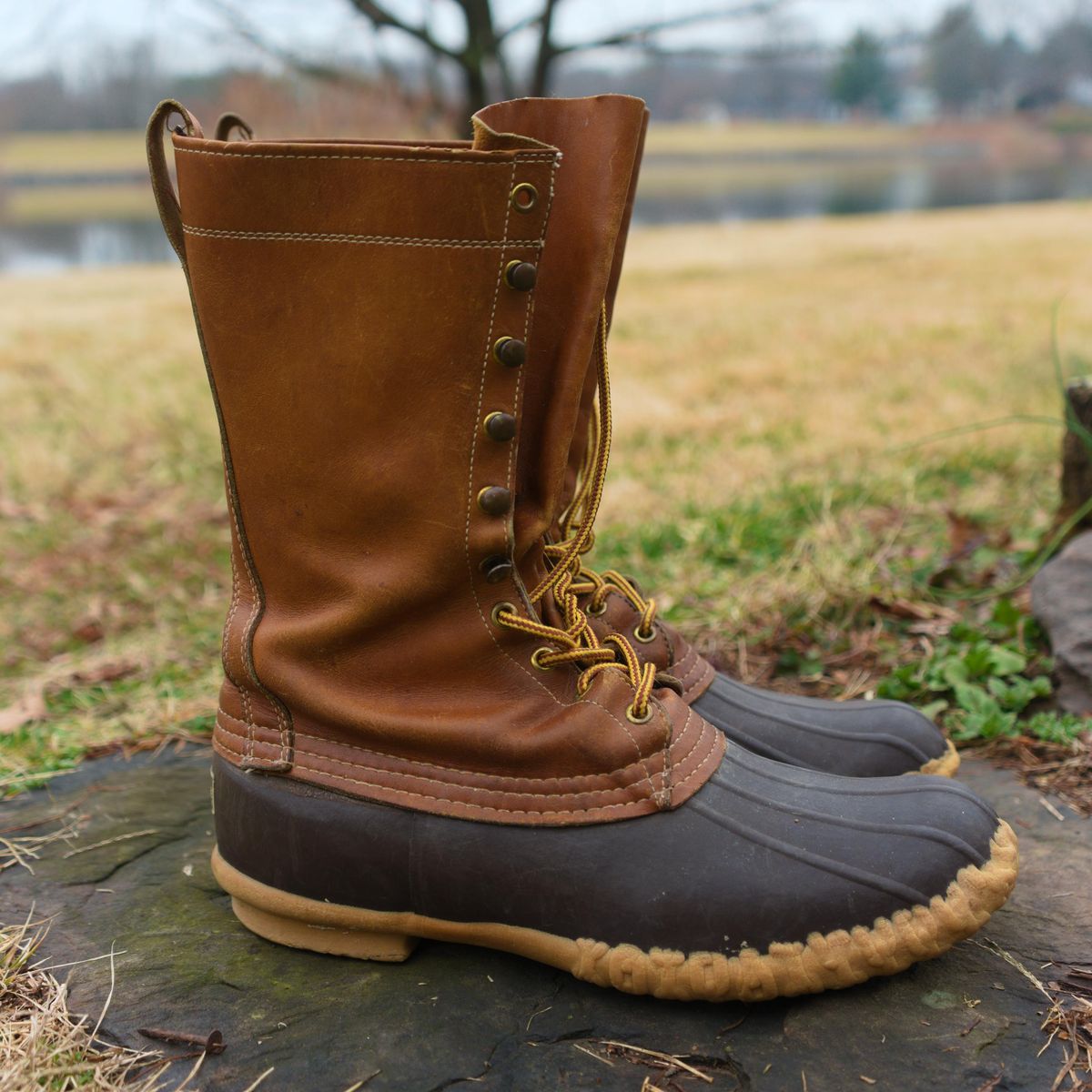 Photo by feetpics on March 4, 2026 of the L.L.Bean Maine Hunting Shoe 12" in Unknown Leather.