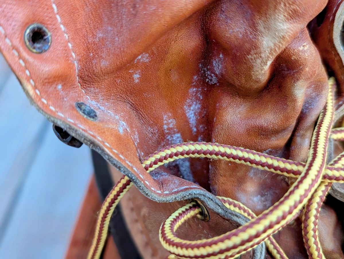 Photo by feetpics on November 5, 2025 of the L.L.Bean Maine Hunting Shoe 12" in Unknown Leather.