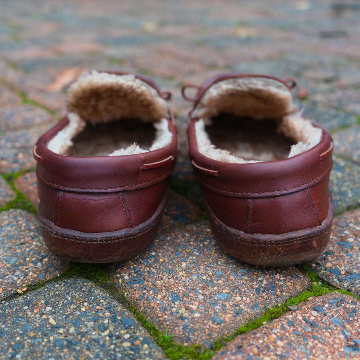 Photo by feetpics on March 4, 2026 of the Russell Moccasin Co. Shearling Oneida in Full-Grain Timberjack.