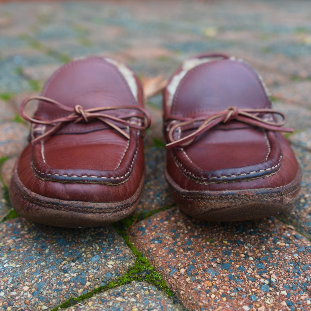Photo by feetpics on March 4, 2026 of the Russell Moccasin Co. Shearling Oneida in Full-Grain Timberjack.