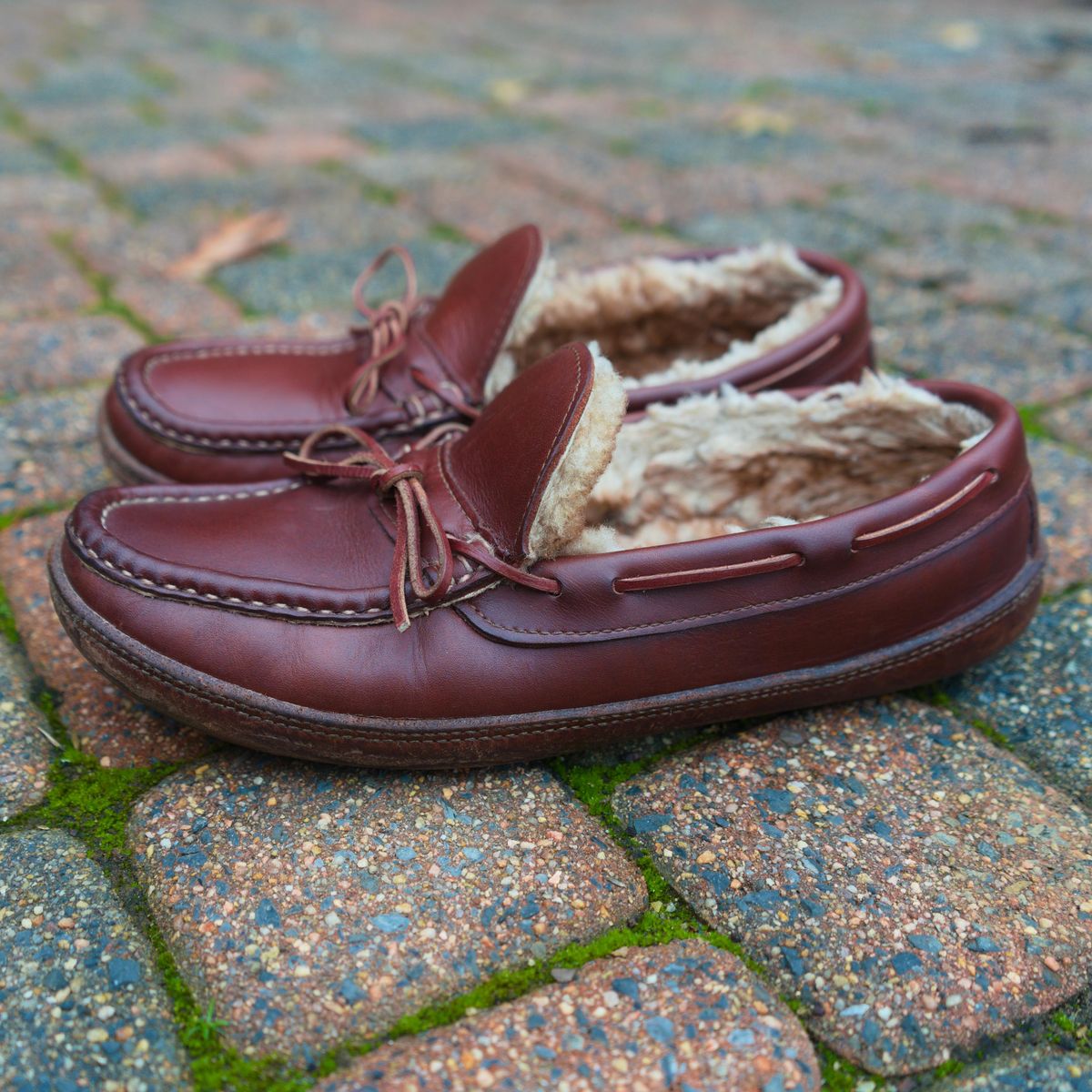 Photo by feetpics on March 4, 2026 of the Russell Moccasin Co. Shearling Oneida in Full-Grain Timberjack.