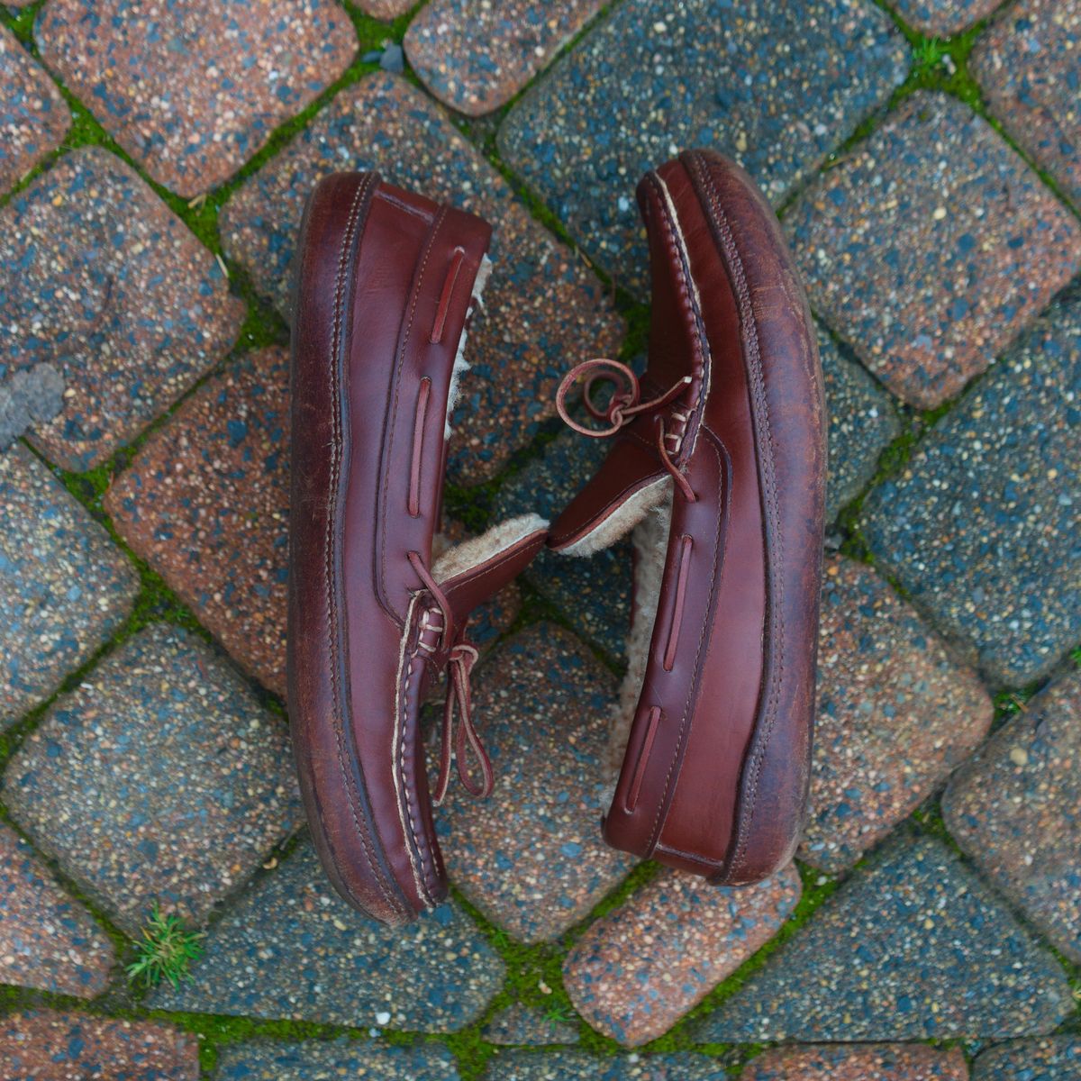 Photo by feetpics on March 4, 2026 of the Russell Moccasin Co. Shearling Oneida in Full-Grain Timberjack.