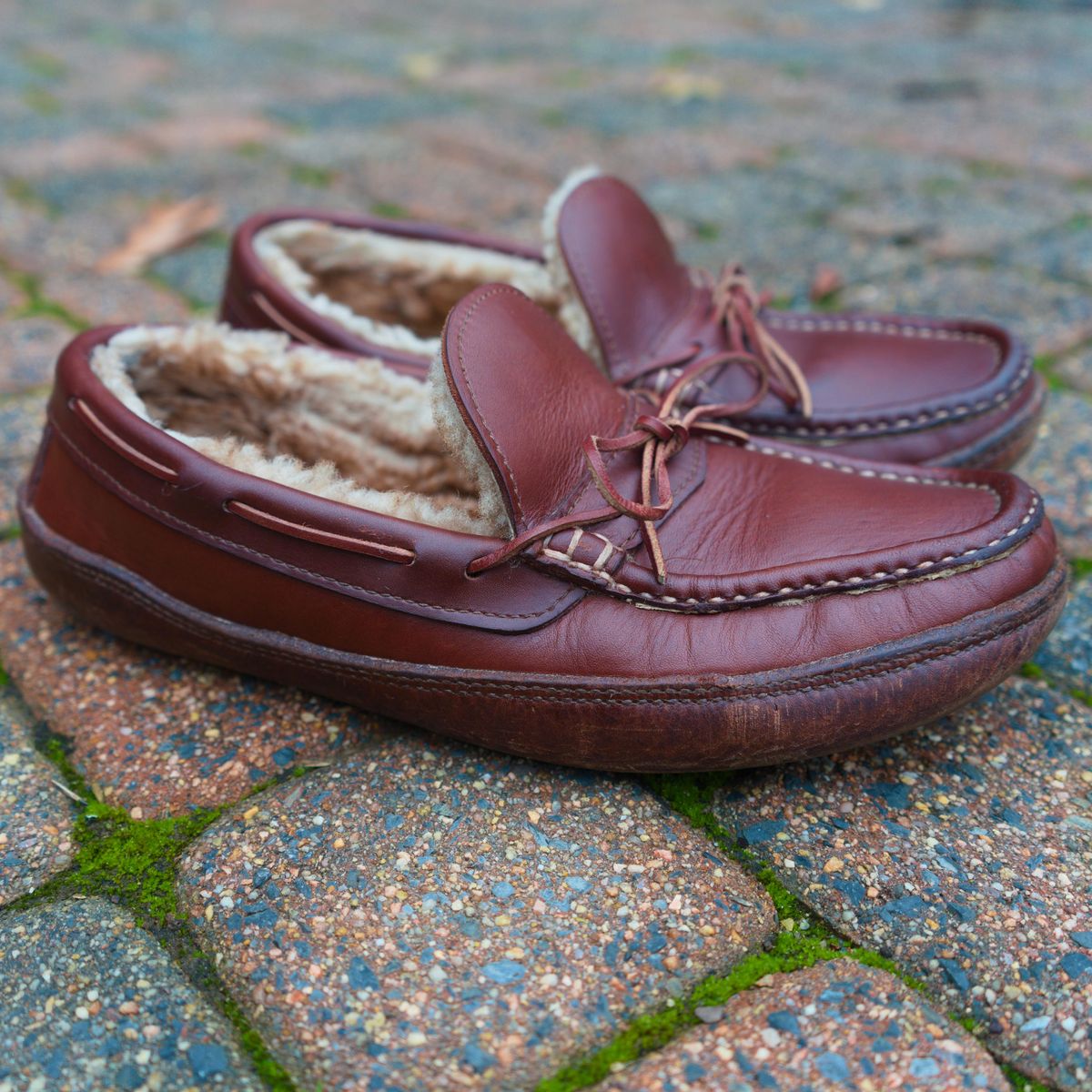 Photo by feetpics on March 4, 2026 of the Russell Moccasin Co. Shearling Oneida in Full-Grain Timberjack.