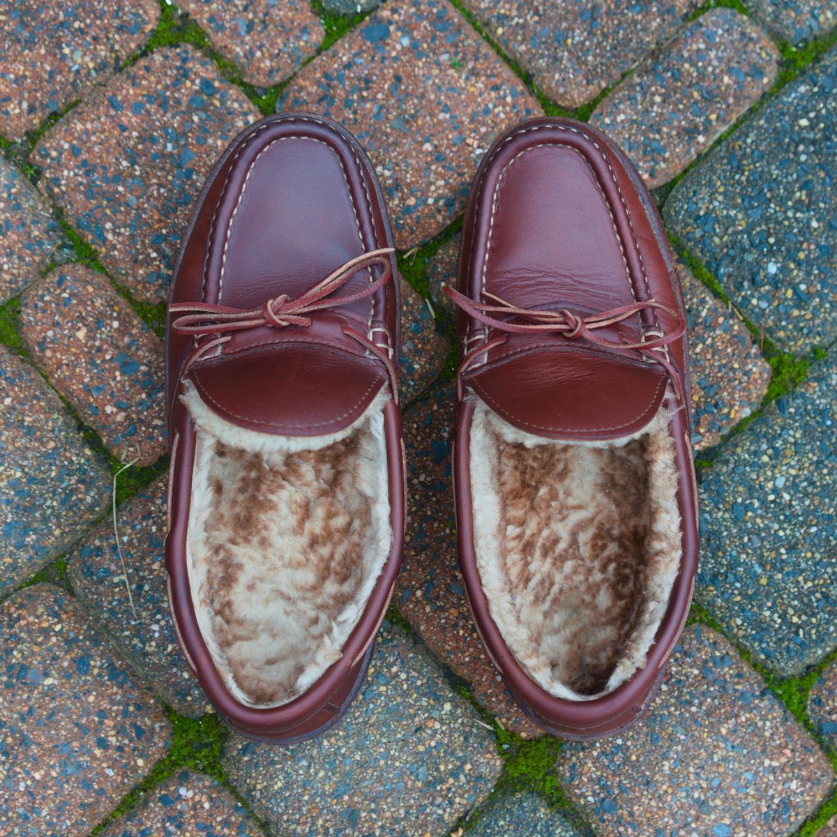 Photo by feetpics on March 4, 2026 of the Russell Moccasin Co. Shearling Oneida in Full-Grain Timberjack.