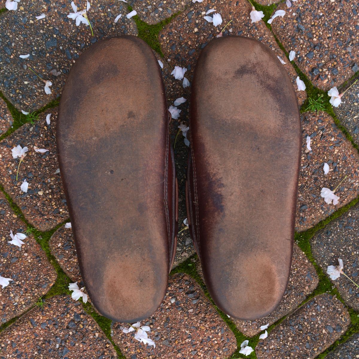 Photo by feetpics on April 5, 2026 of the Russell Moccasin Co. Shearling Oneida in Full-Grain Timberjack.