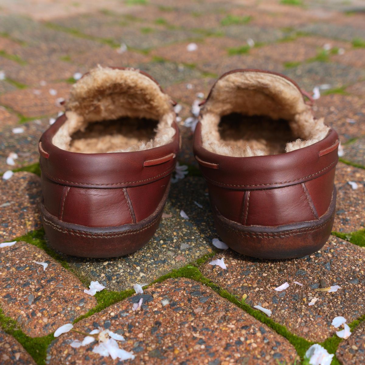 Photo by feetpics on April 5, 2026 of the Russell Moccasin Co. Shearling Oneida in Full-Grain Timberjack.