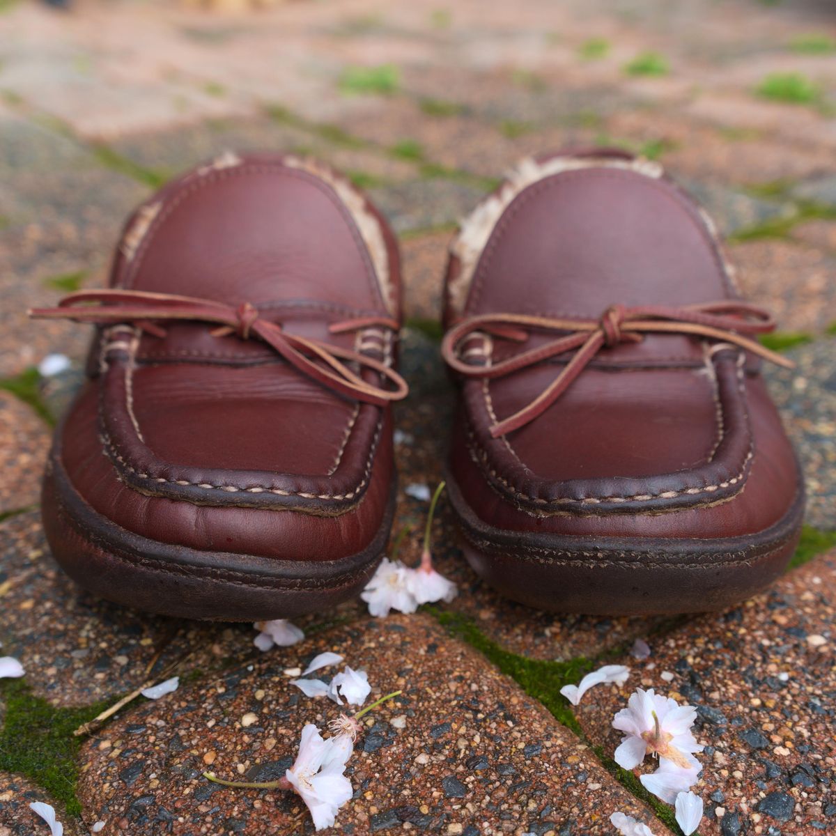 Photo by feetpics on April 5, 2026 of the Russell Moccasin Co. Shearling Oneida in Full-Grain Timberjack.