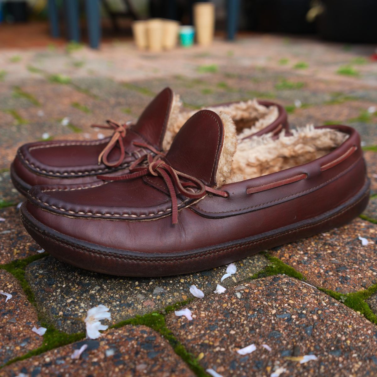 Photo by feetpics on April 5, 2026 of the Russell Moccasin Co. Shearling Oneida in Full-Grain Timberjack.