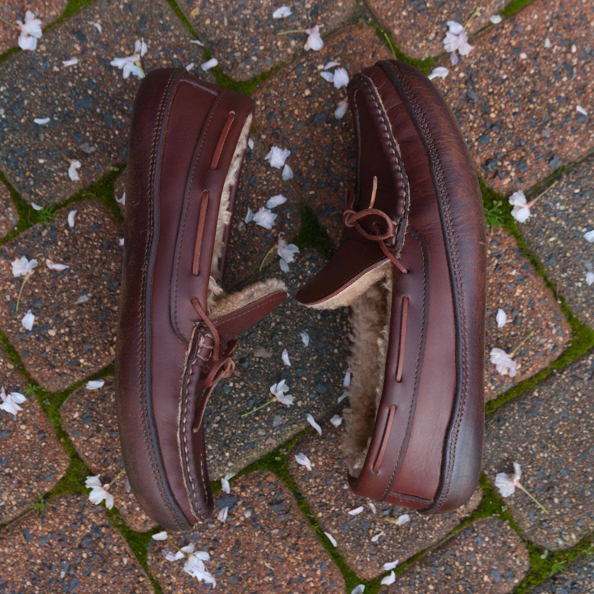 Photo by feetpics on April 5, 2026 of the Russell Moccasin Co. Shearling Oneida in Full-Grain Timberjack.