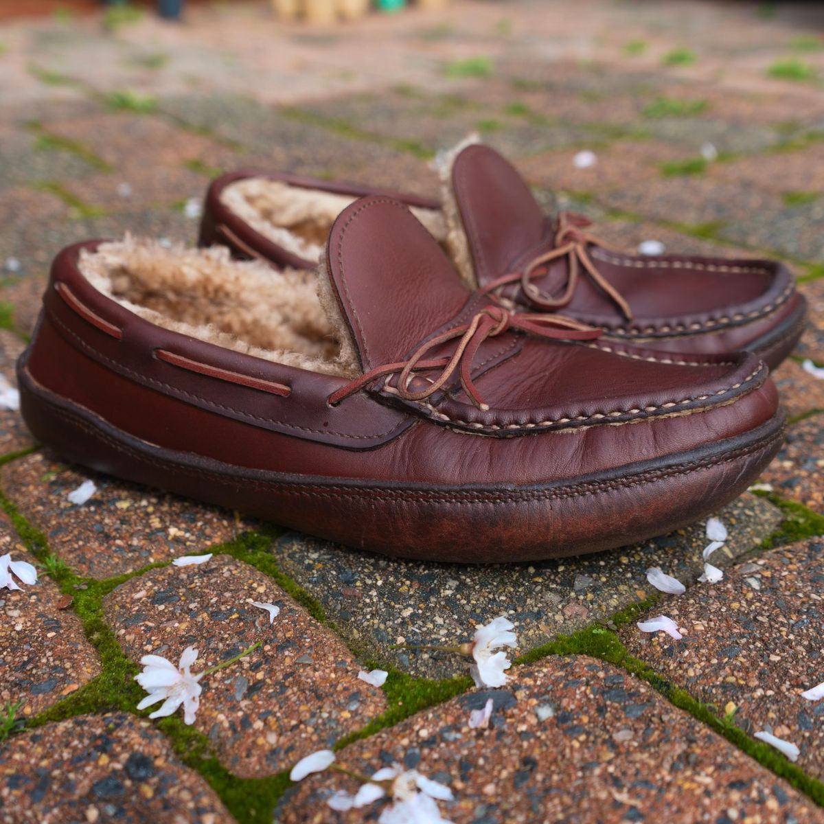Photo by feetpics on April 5, 2026 of the Russell Moccasin Co. Shearling Oneida in Full-Grain Timberjack.
