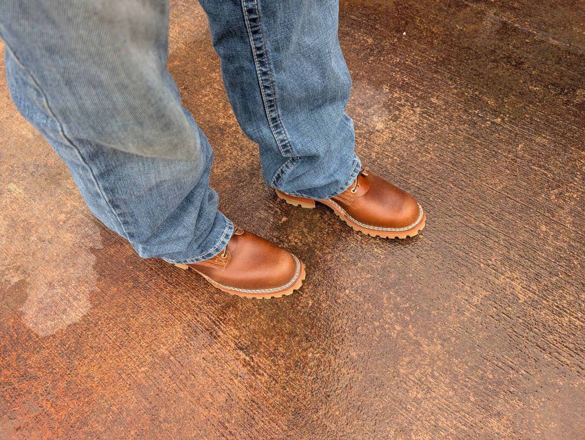 Photo by JoeB on May 31, 2025 of the Nicks Urban Logger in Ember Waxed Flesh.