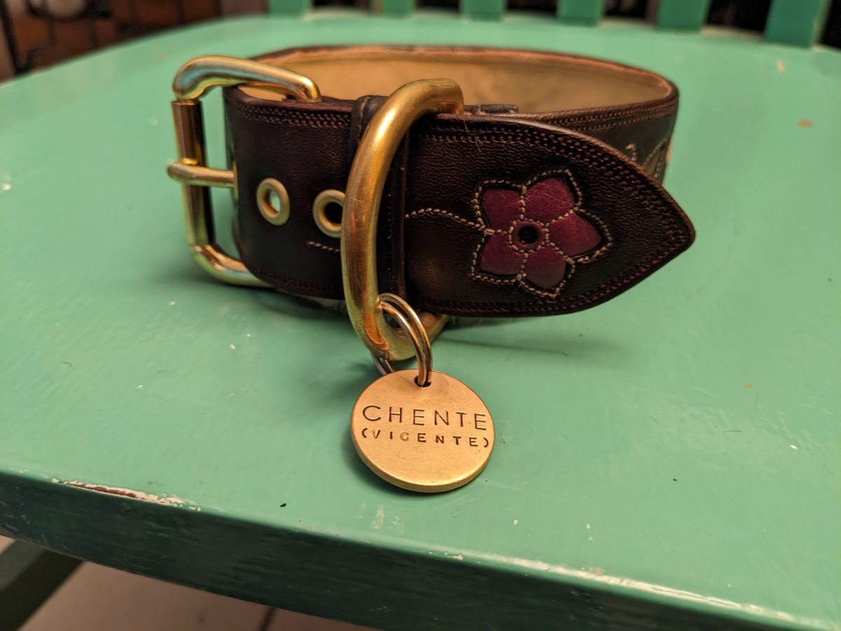Photo by olivialocke on October 2, 2025 of the Self-Made Dog Collar in Horween Double Horse Front.