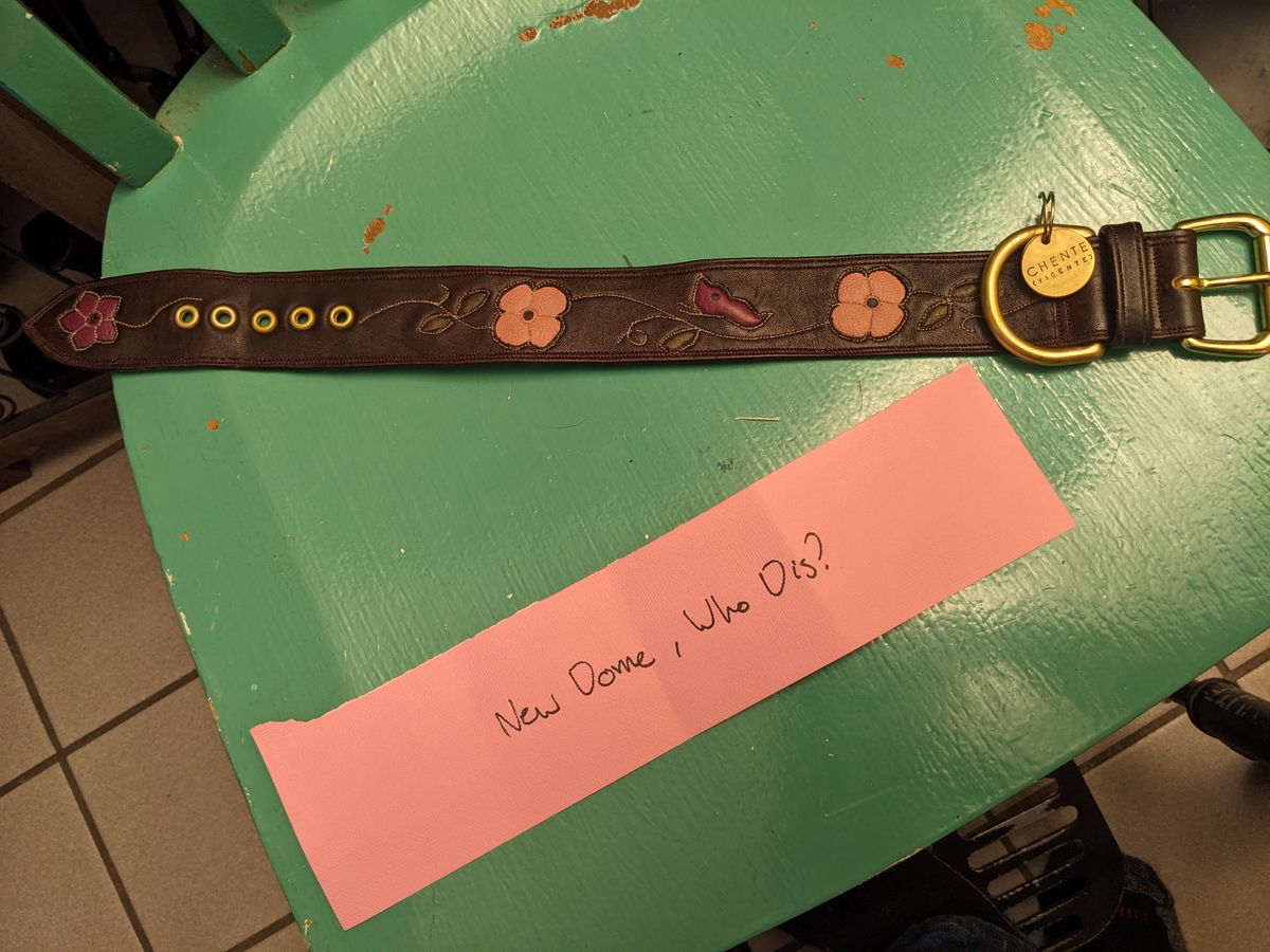 Photo by olivialocke on October 2, 2025 of the Self-Made Dog Collar in Horween Double Horse Front.