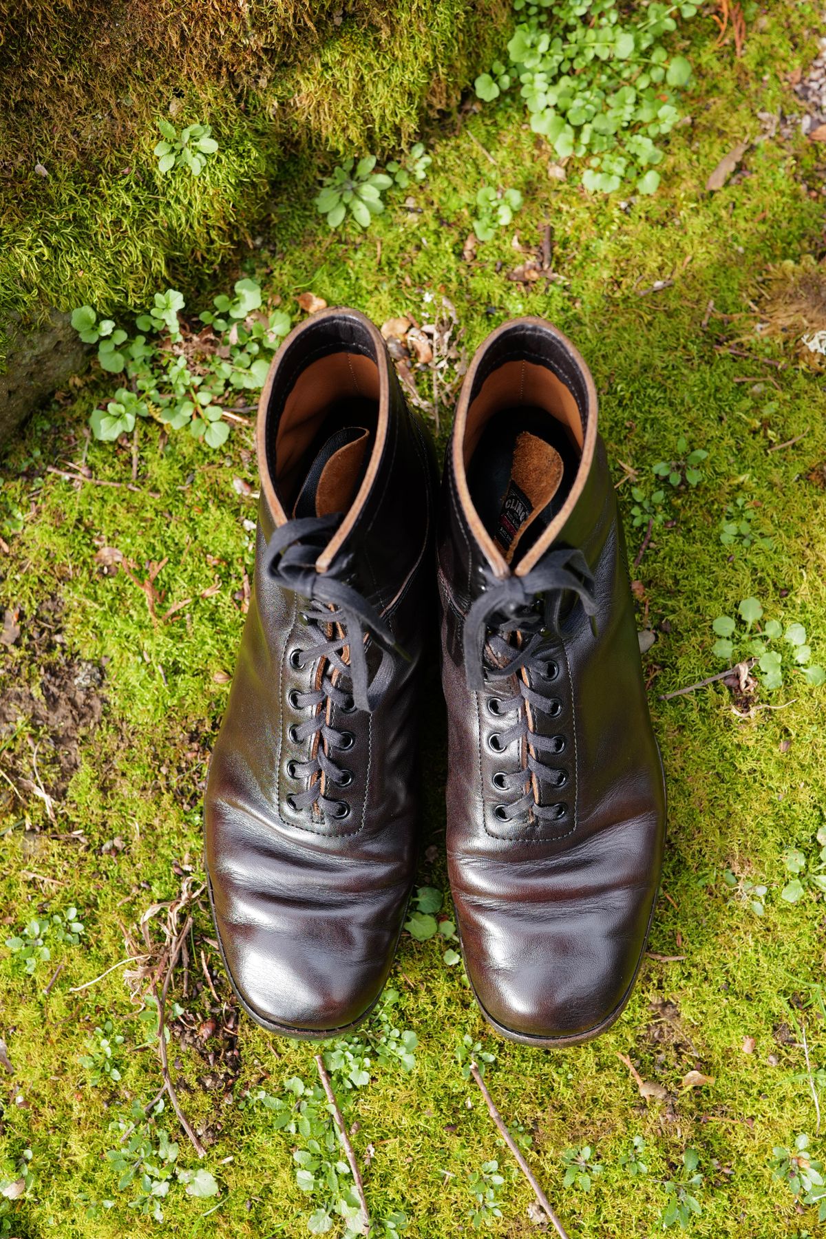 Photo by jcurry on March 1, 2026 of the Clinch Milne Soft-toe in Top Notch Horsehide Black (Tea core).
