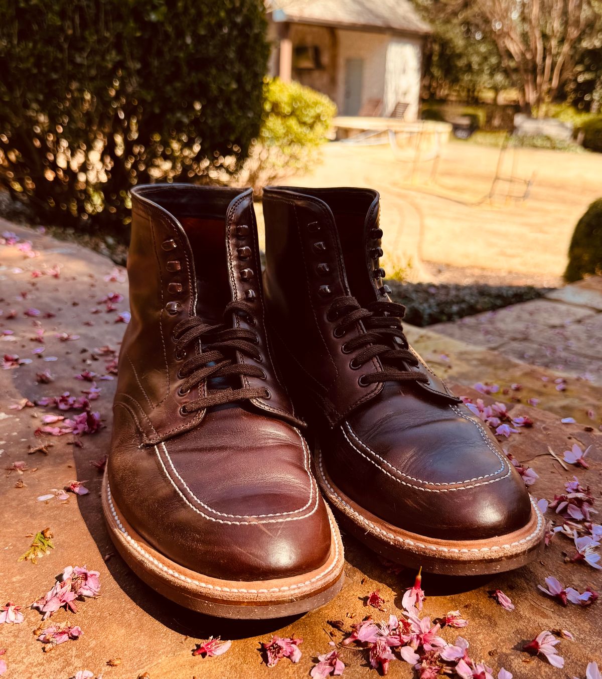 Photo by BlueMtn on March 1, 2026 of the Alden Indy Boot in Horween Brown Chromexcel.