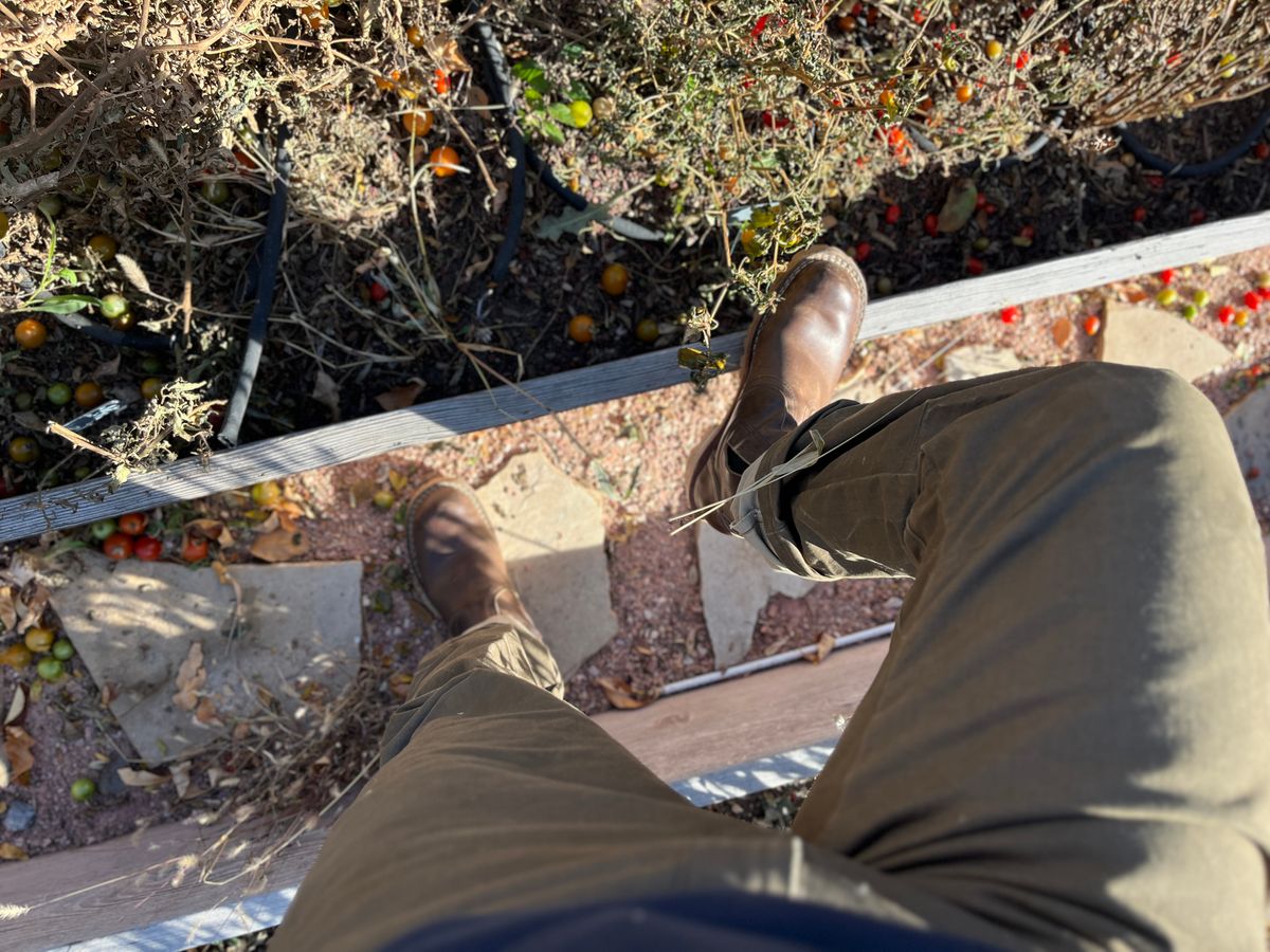 Photo by bamcg on November 1, 2025 of the Nicks Work Chelsea in Horween Predator Natural.