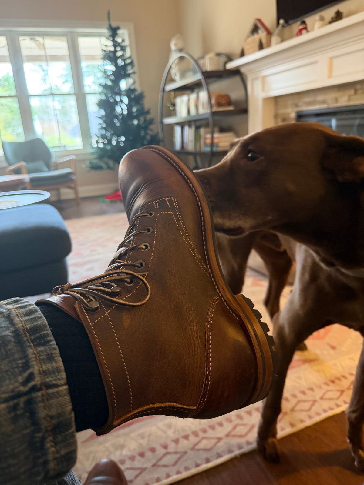 Photo by Peter on December 21, 2025 of the Truman Plain Toe Boot in Tobacco Snakebite.