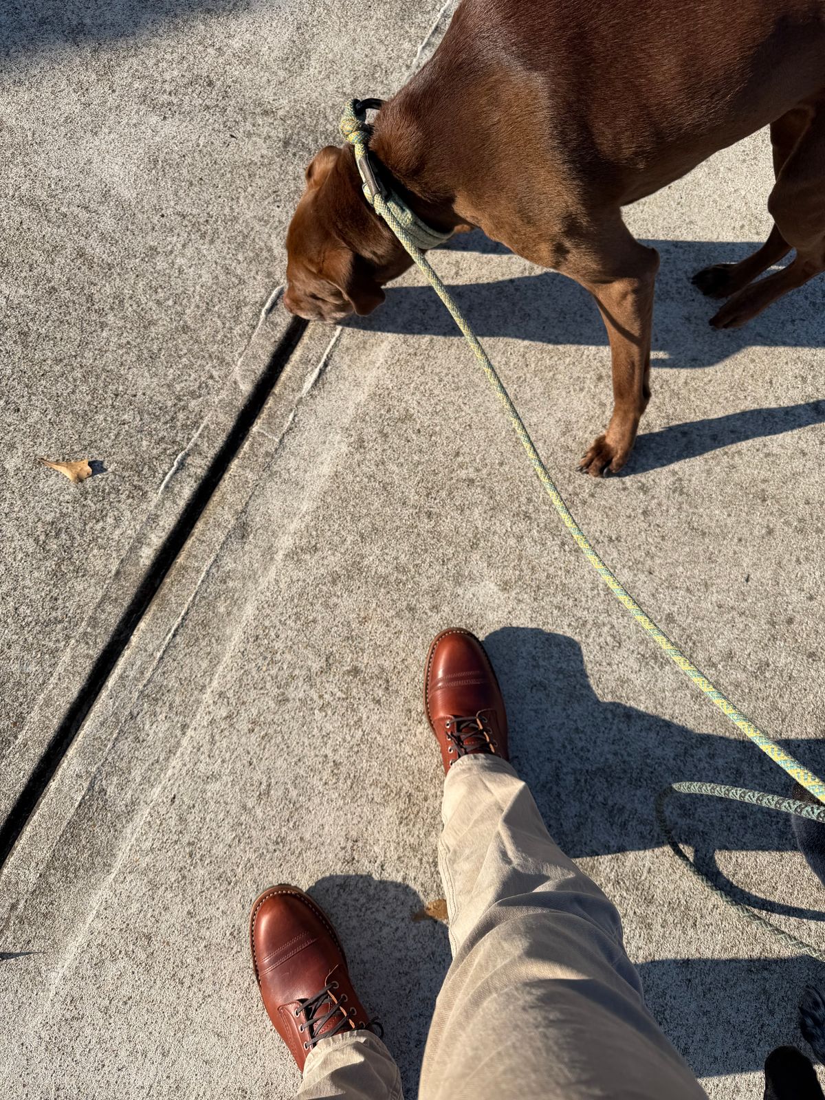 Photo by Peter on December 25, 2025 of the White's MP-Sherman Toe Cap in Seidel British Tan Double Shot.