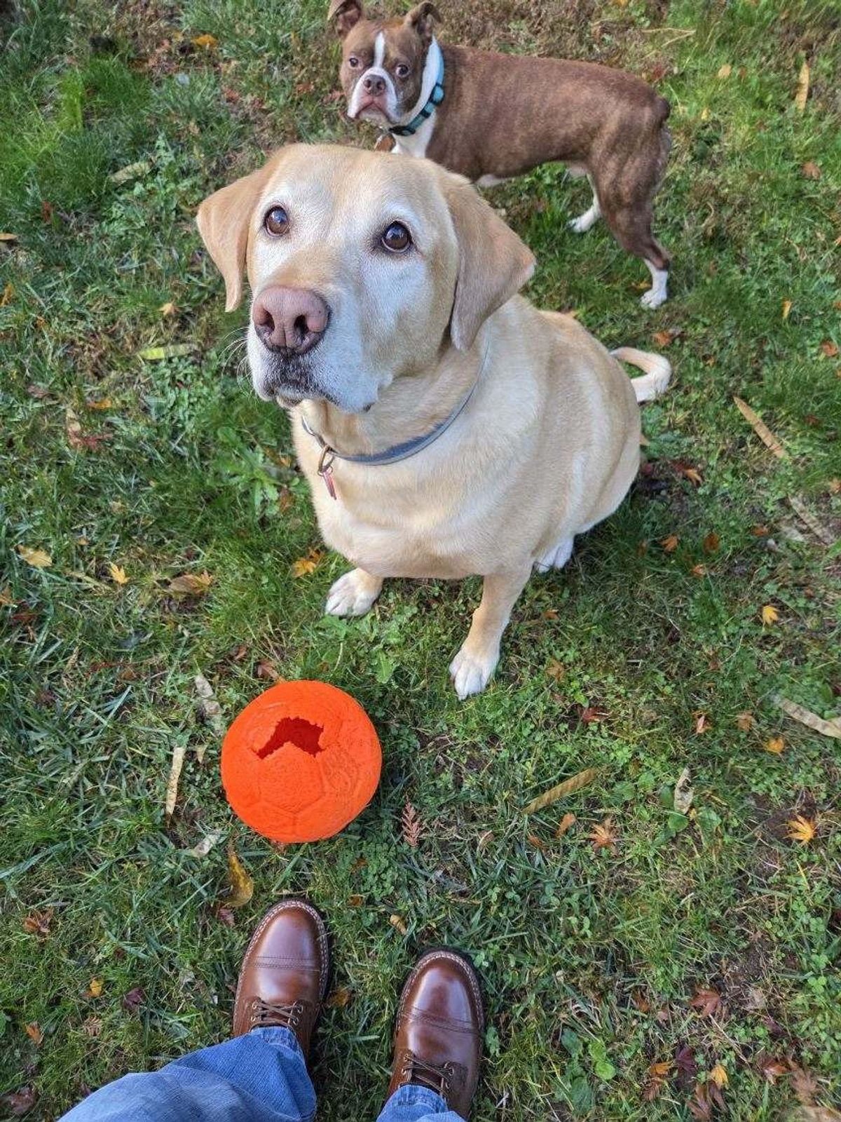 Photo by strykersboots on November 4, 2025 of the Thursday Challenger in Toscanello.