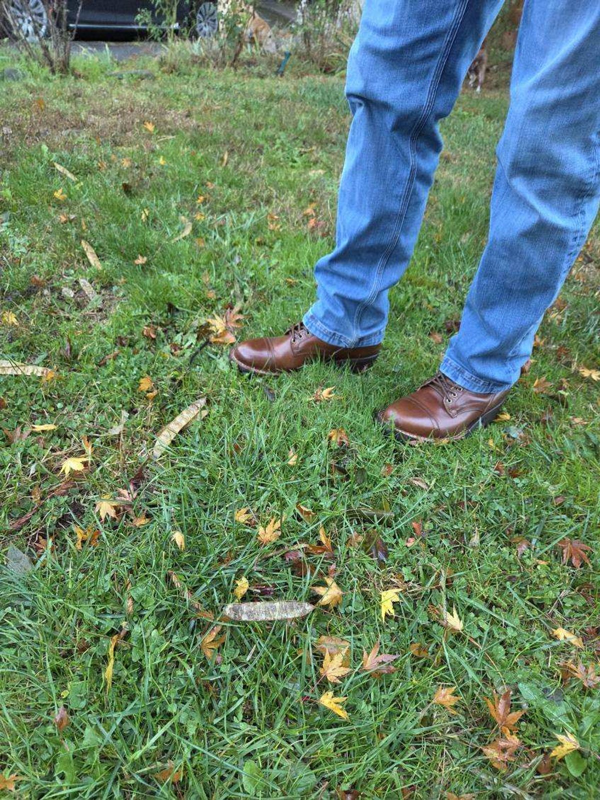 Photo by strykersboots on November 5, 2025 of the Thursday Challenger in Toscanello.