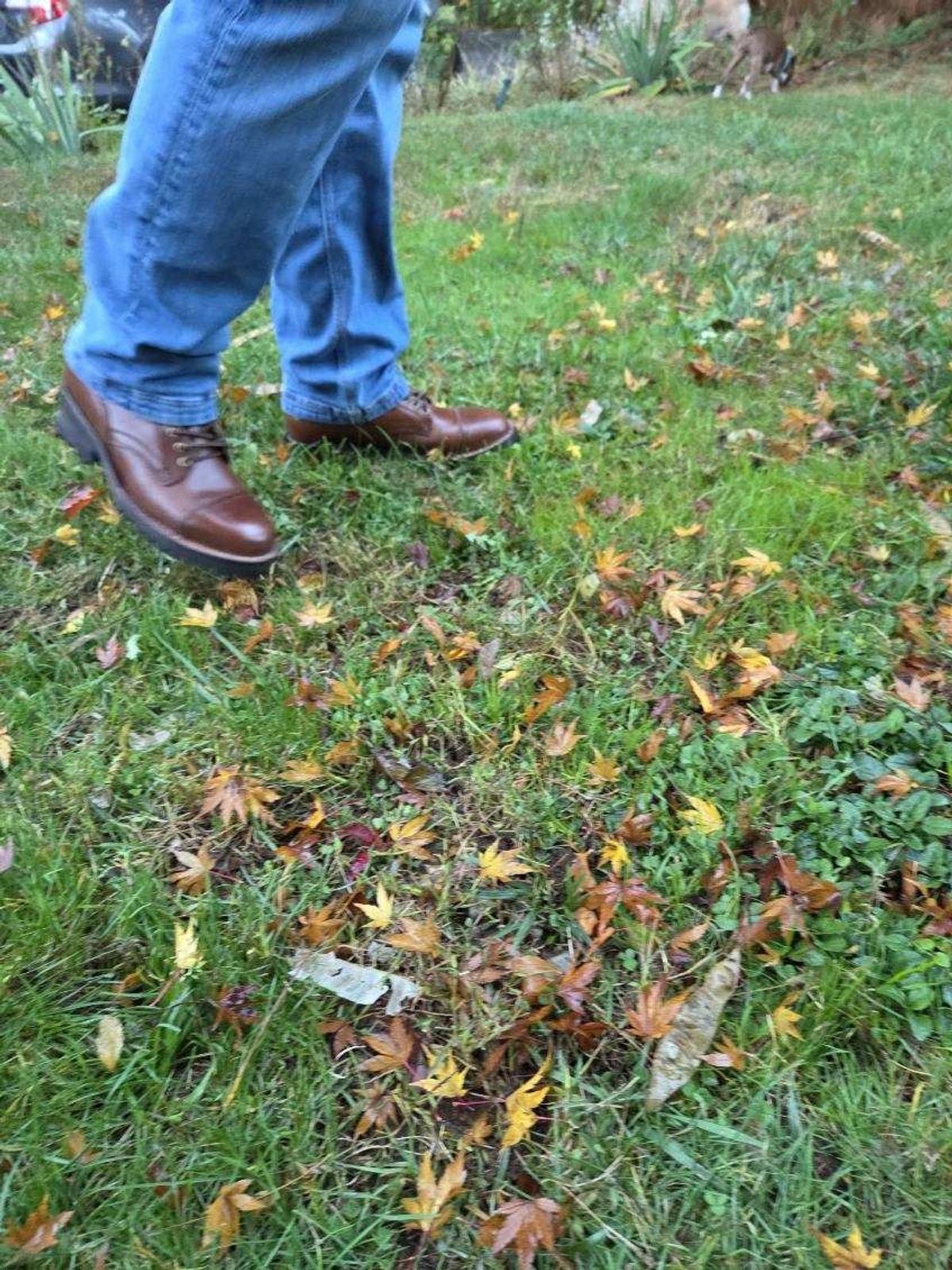 Photo by strykersboots on November 5, 2025 of the Thursday Challenger in Toscanello.