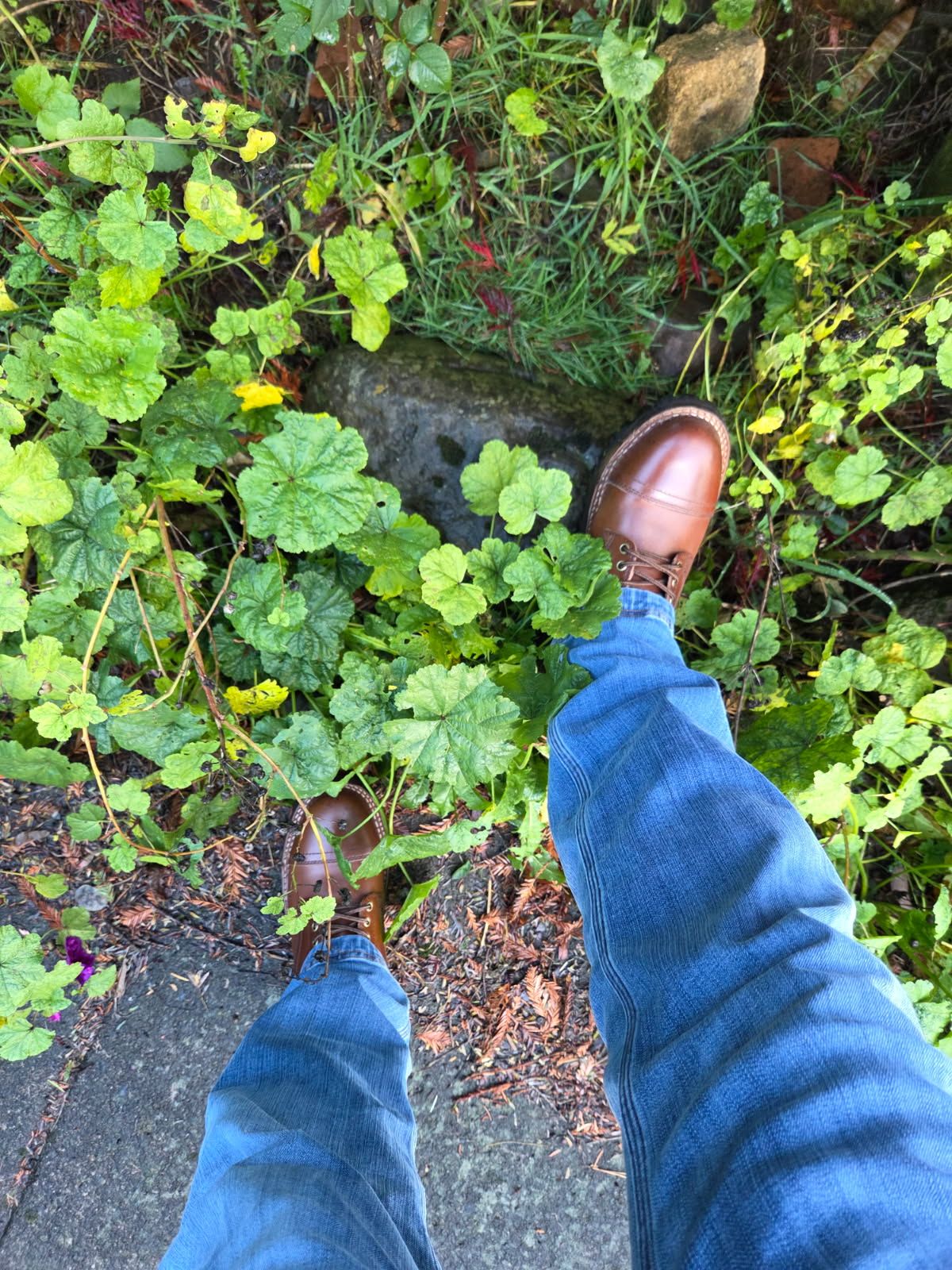 Photo by strykersboots on November 5, 2025 of the Thursday Challenger in Toscanello.