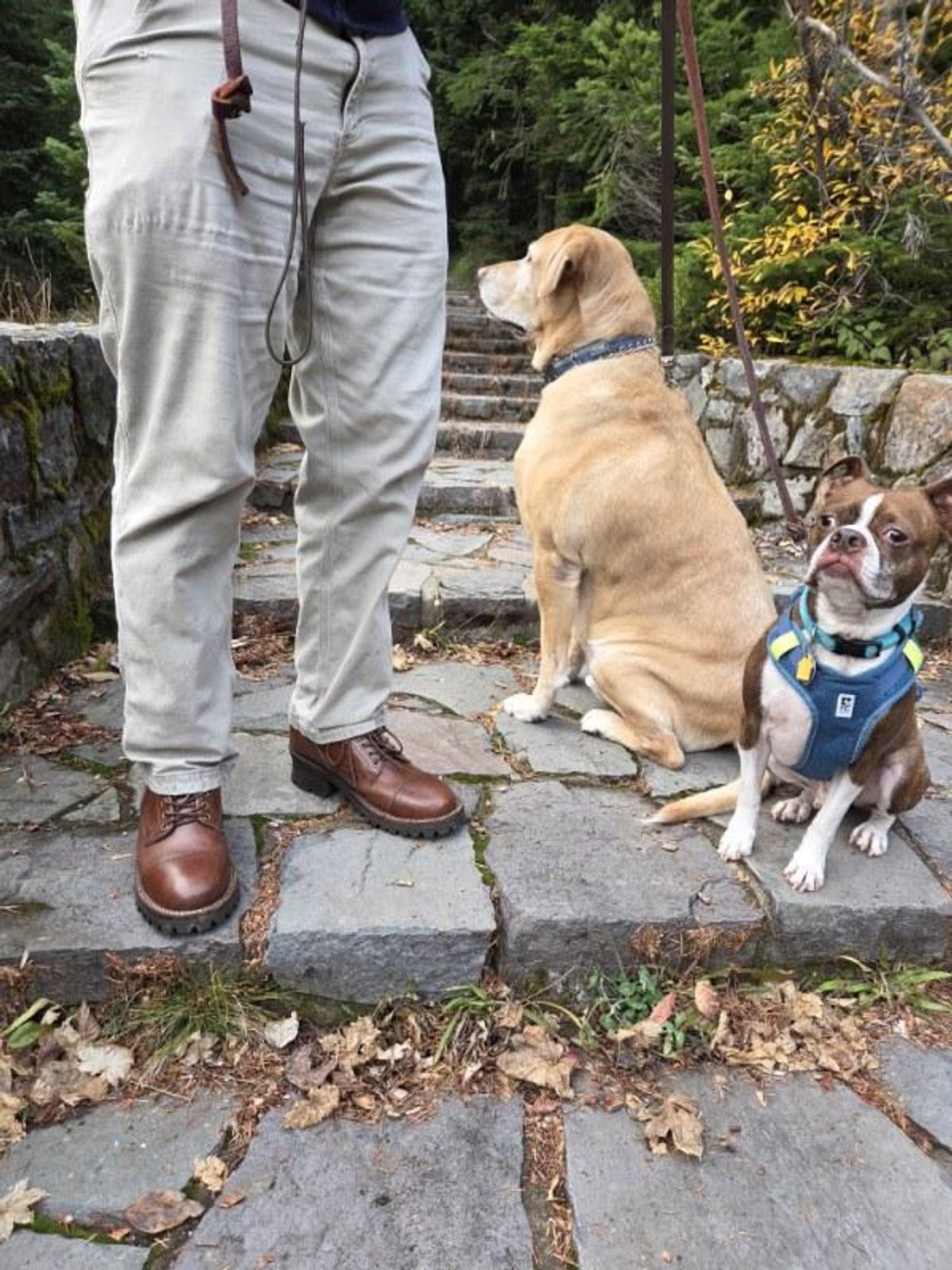 Photo by strykersboots on November 12, 2025 of the Thursday Challenger in Toscanello.