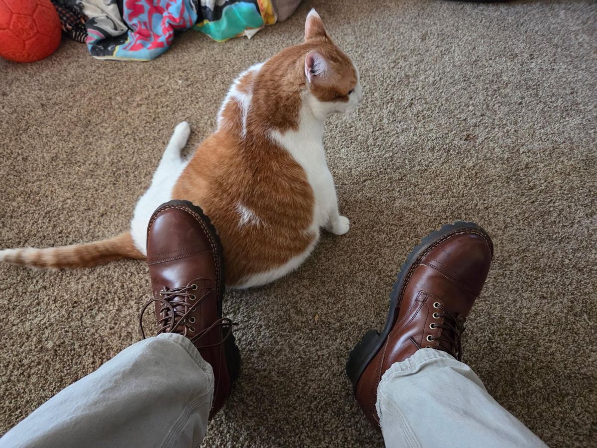 Photo by strykersboots on November 8, 2025 of the Thursday Challenger in Toscanello.