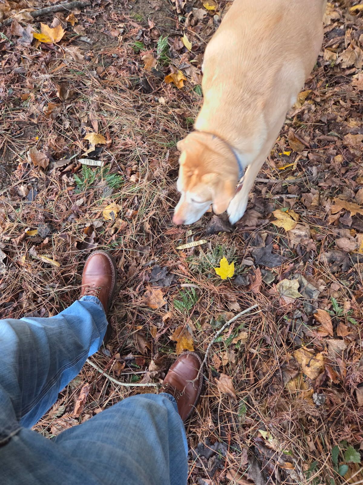 Photo by strykersboots on December 5, 2025 of the Thursday Challenger in Toscanello.