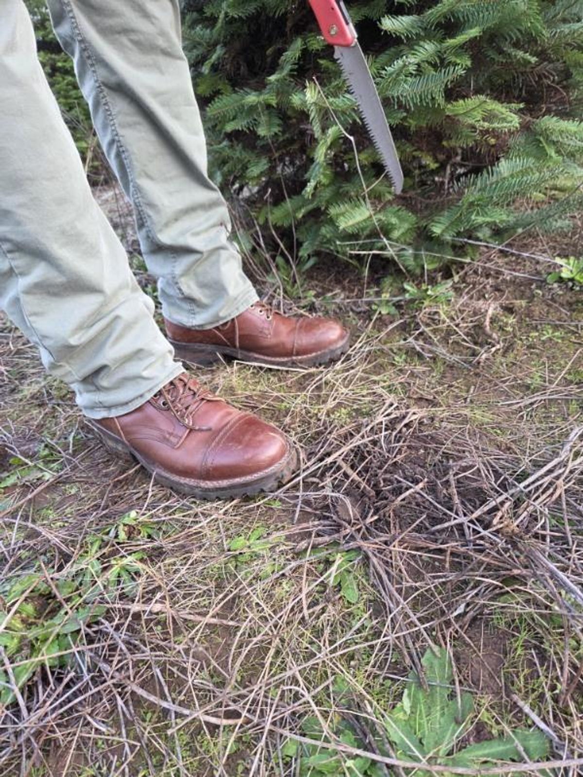 Photo by strykersboots on January 5, 2026 of the Thursday Challenger in Toscanello.