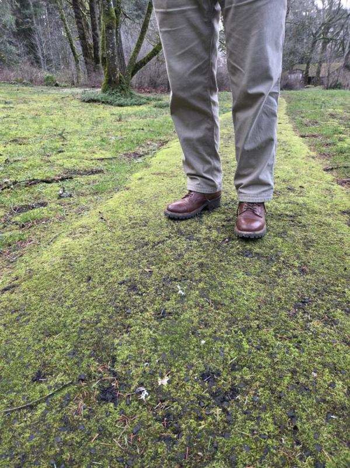 Photo by strykersboots on February 5, 2026 of the Thursday Challenger in Toscanello.