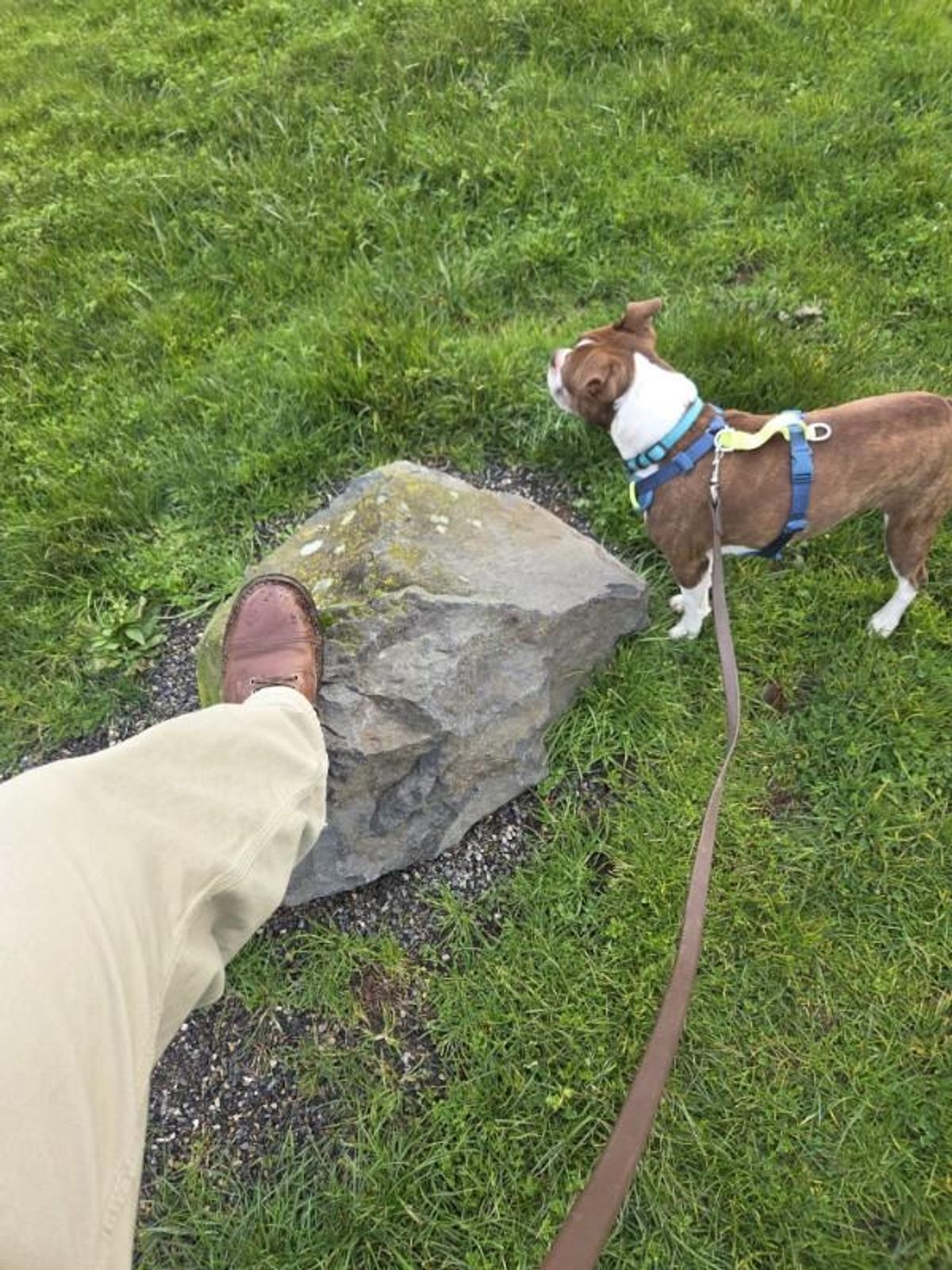 Photo by strykersboots on February 5, 2026 of the Thursday Challenger in Toscanello.