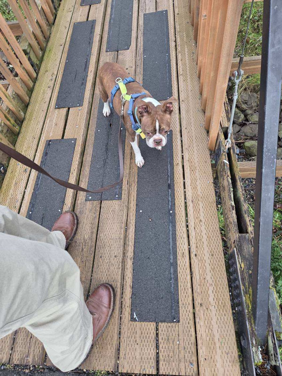 Photo by strykersboots on February 5, 2026 of the Thursday Challenger in Toscanello.