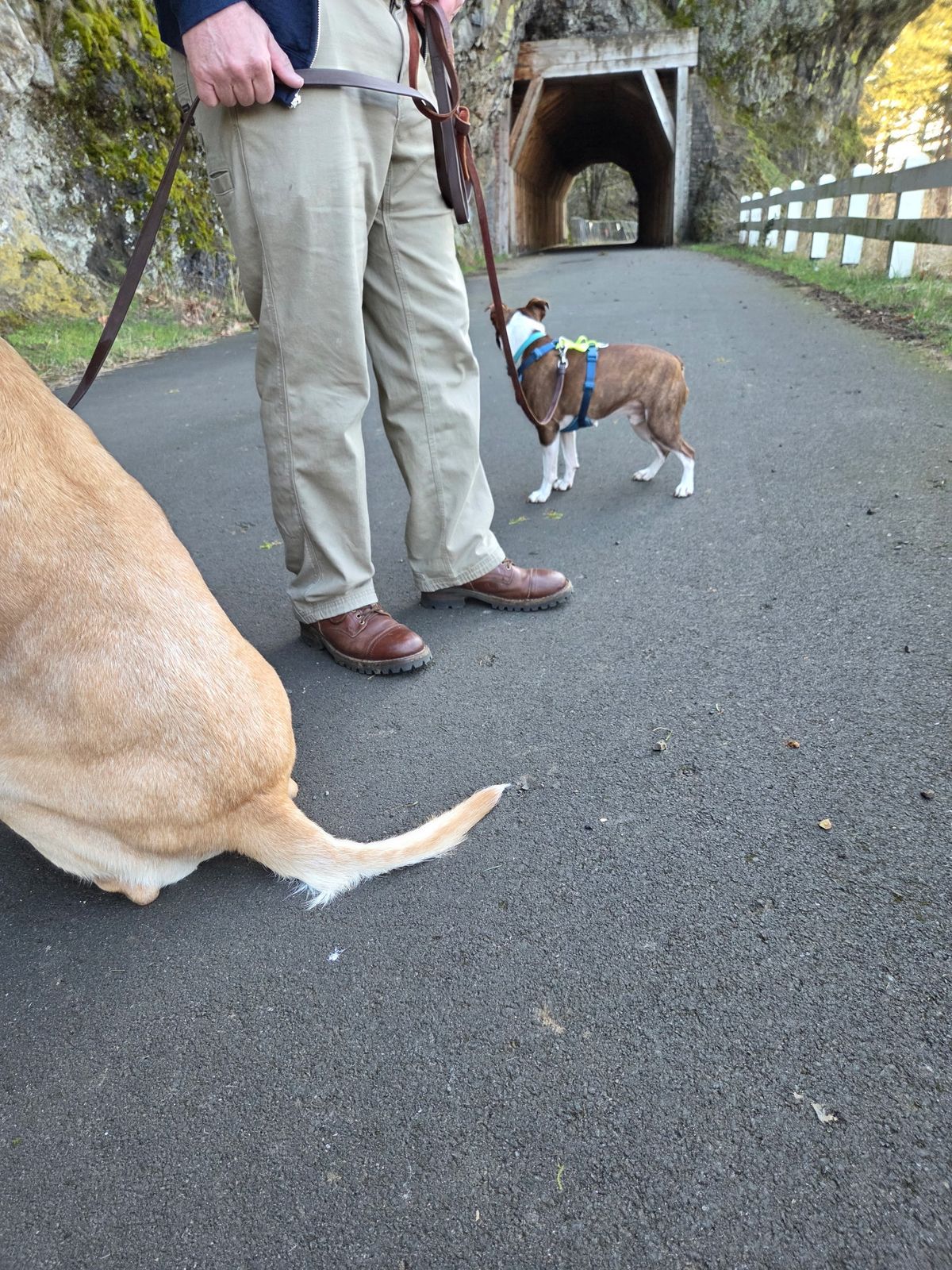 Photo by strykersboots on March 6, 2026 of the Thursday Challenger in Toscanello.